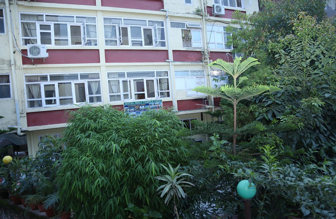 Hotel Group And Building